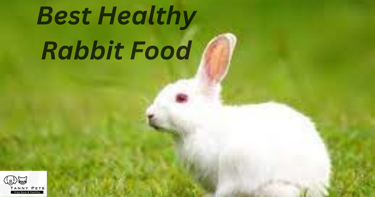 Healthy Rabbit Food
