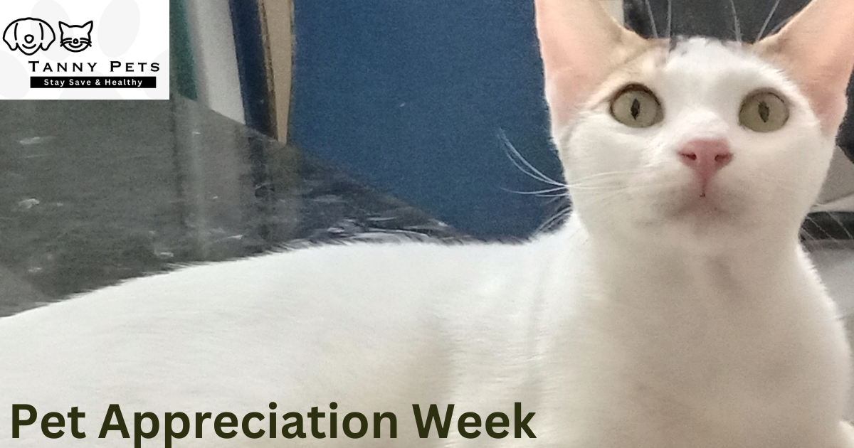 Pet Appreciation Week 