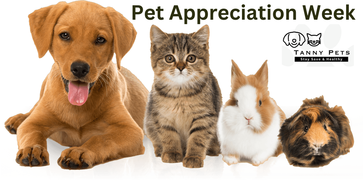Pet Appreciation Week 