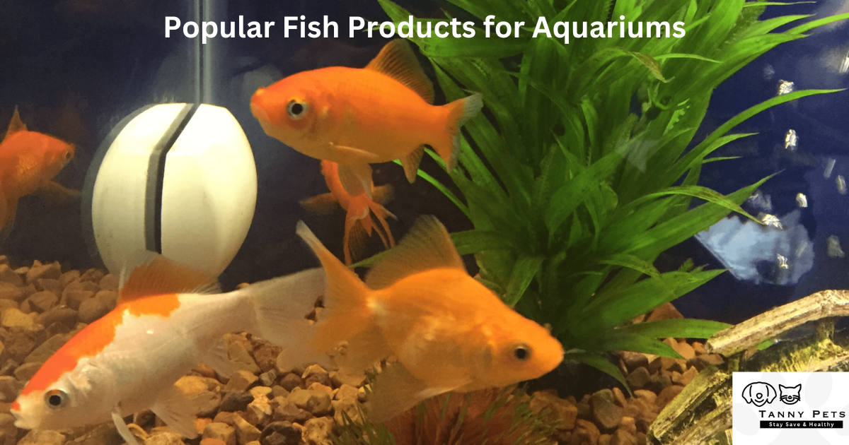 Popular Fish Products for Aquariums