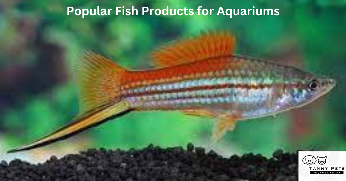 Popular Fish Products for Aquariums