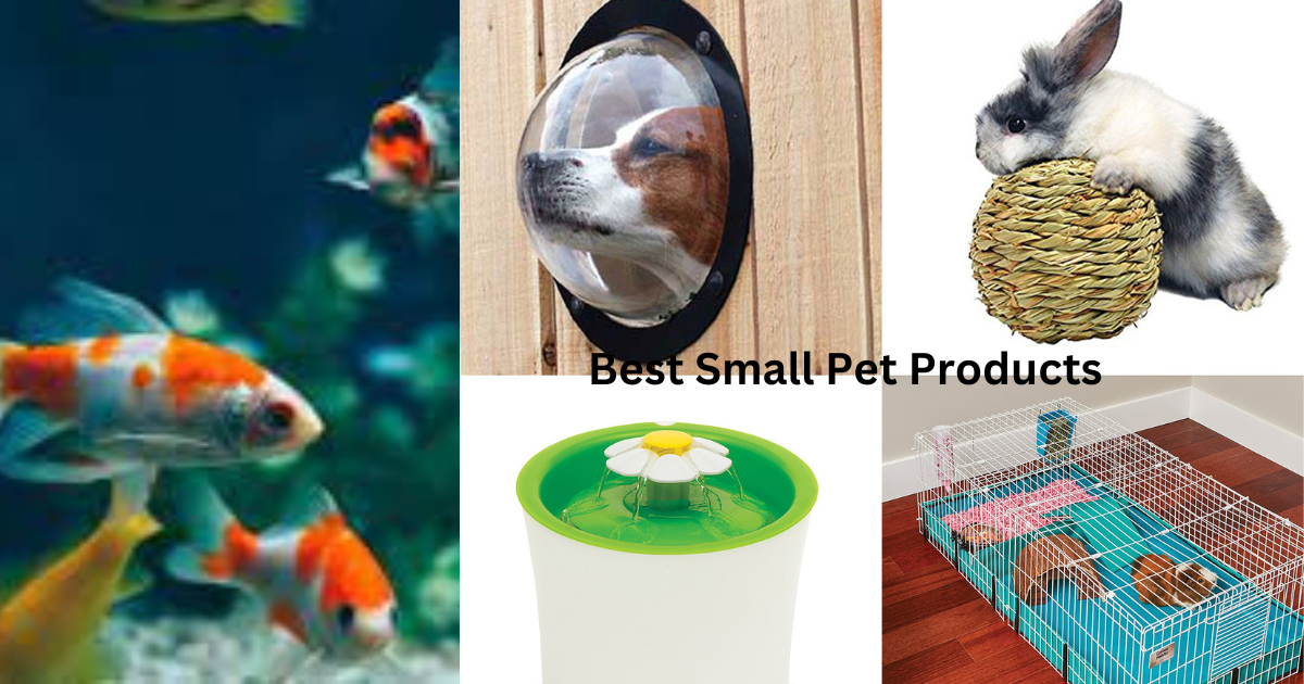 Best Small Pet Products