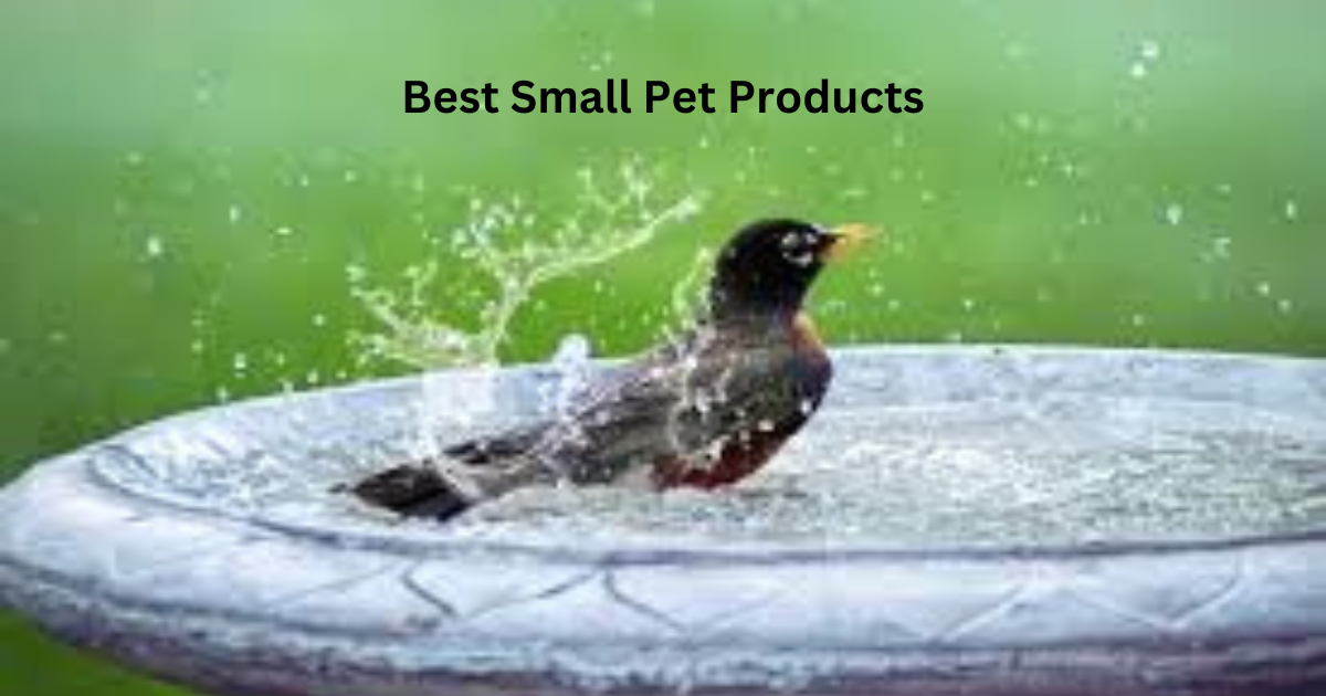 Best Small Pet Products