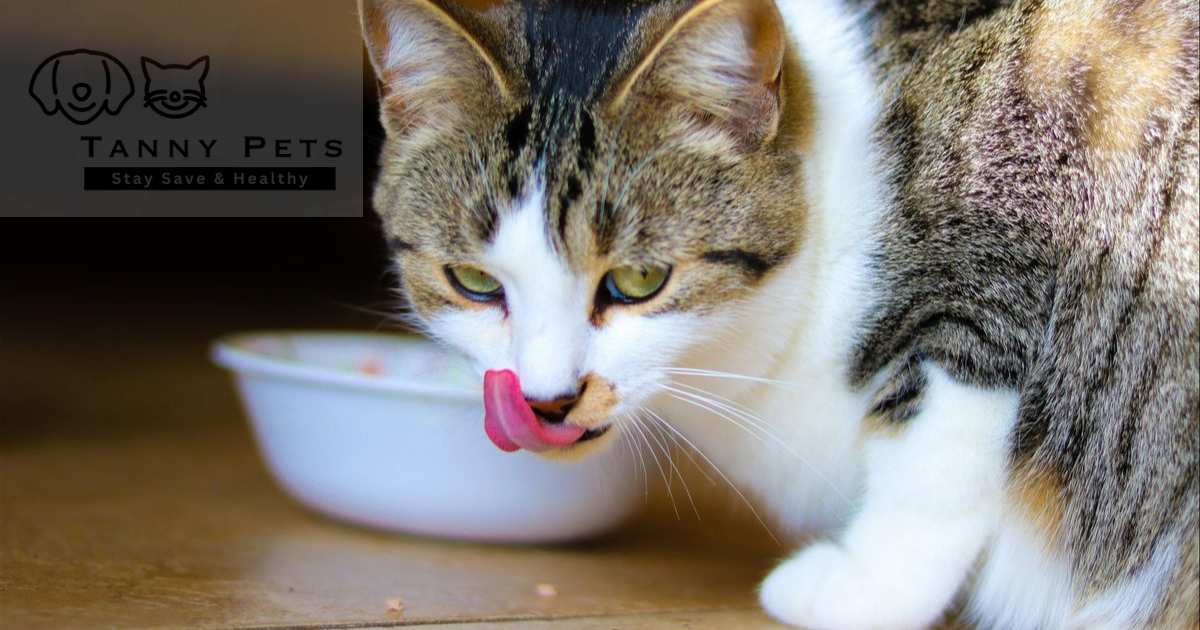 Healthy Cat Treats for Weight Loss