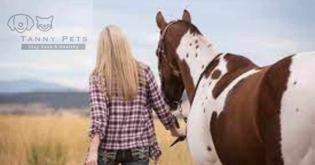 Choosing the right horse 