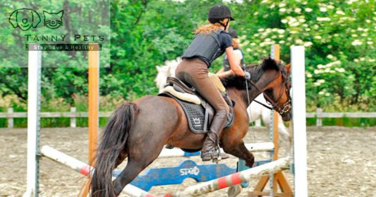 horseback riding safety tips