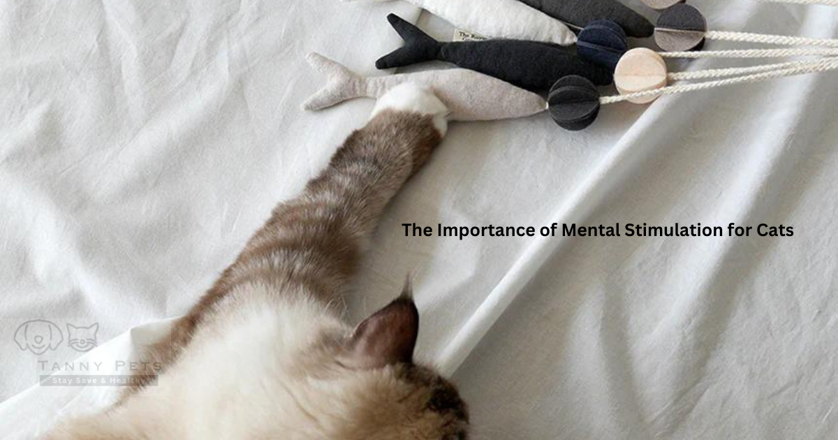 best cat toys for mental stimulation
