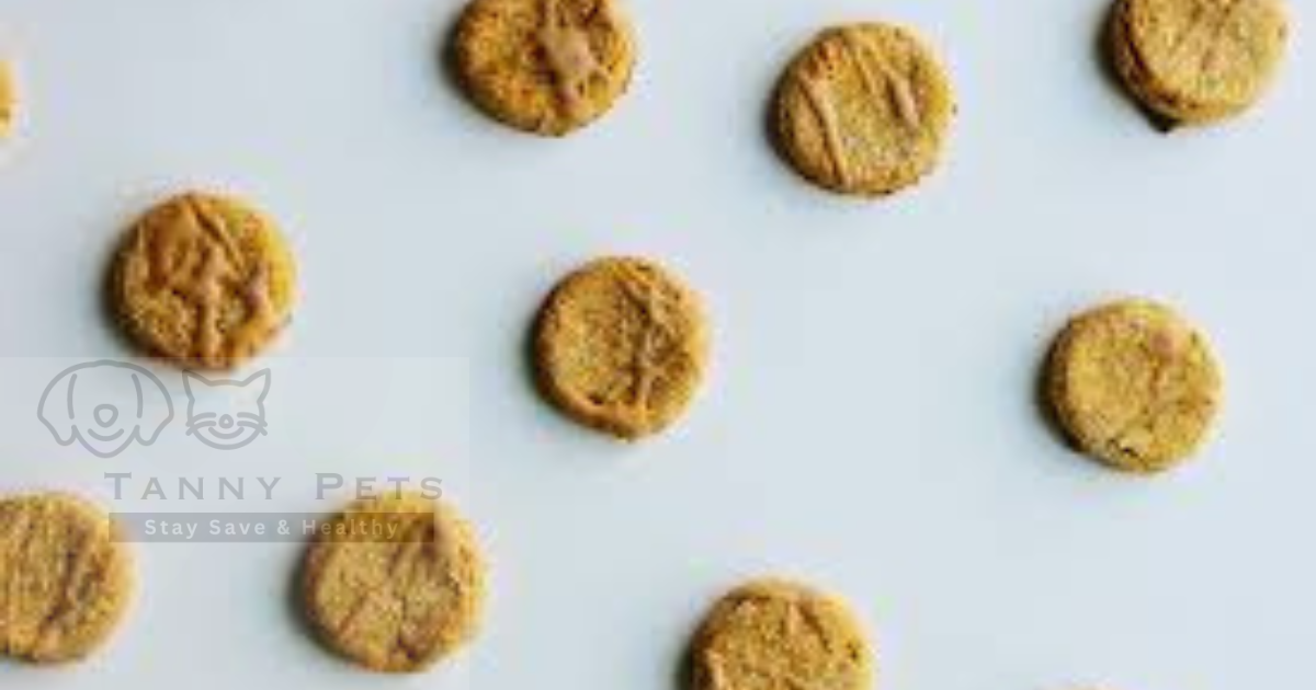 Homemade dog treat recipes without peanut butter
