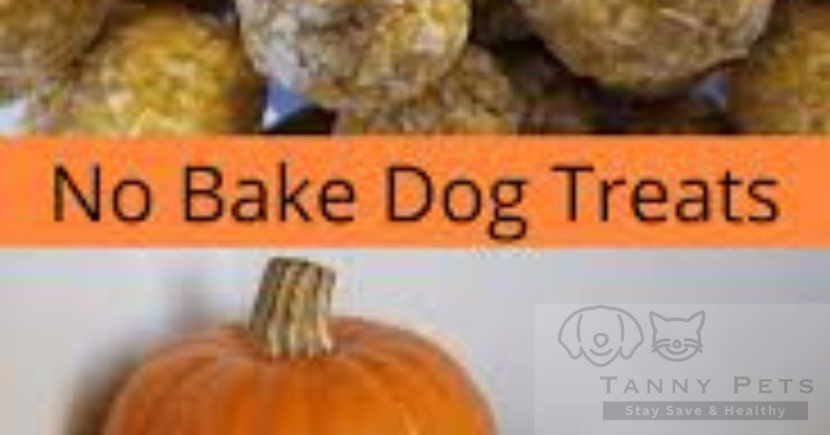 Homemade dog treat recipes without peanut butter