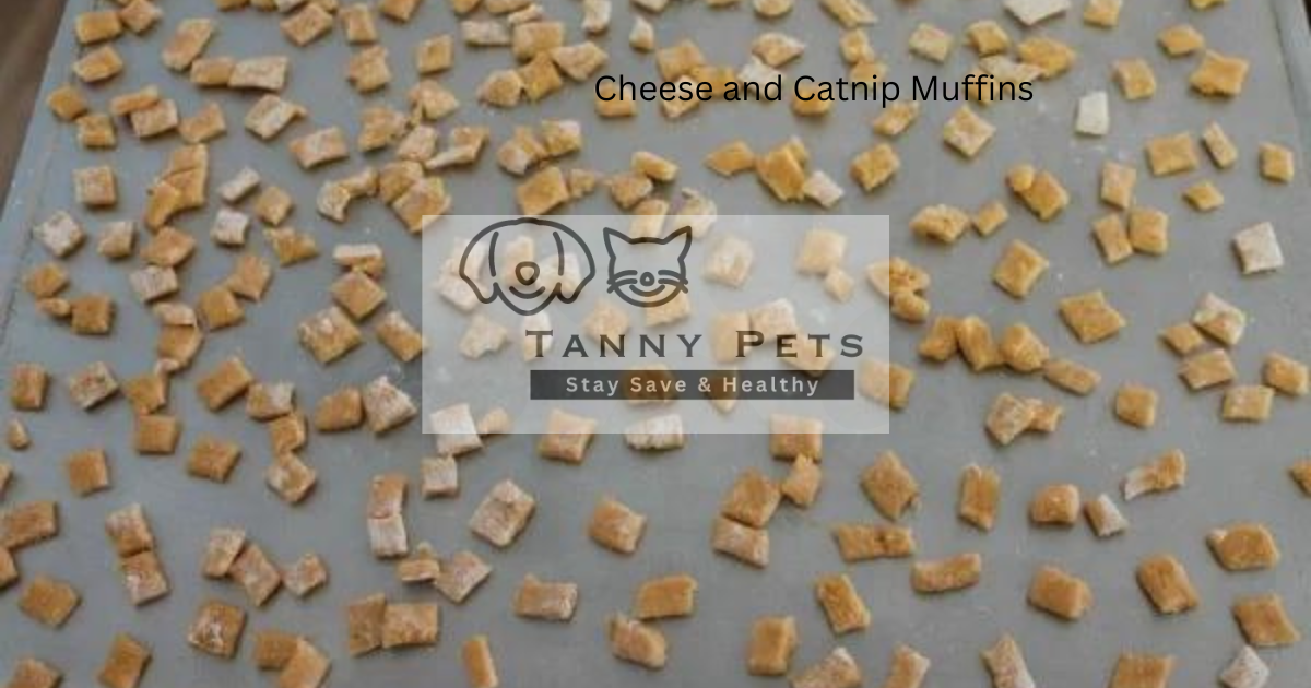 Homemade Cat Treats Recipes