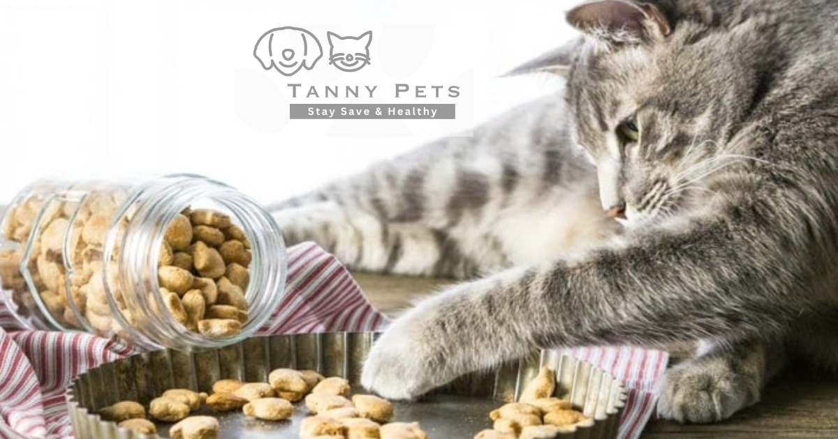 Homemade Cat Treats Recipes