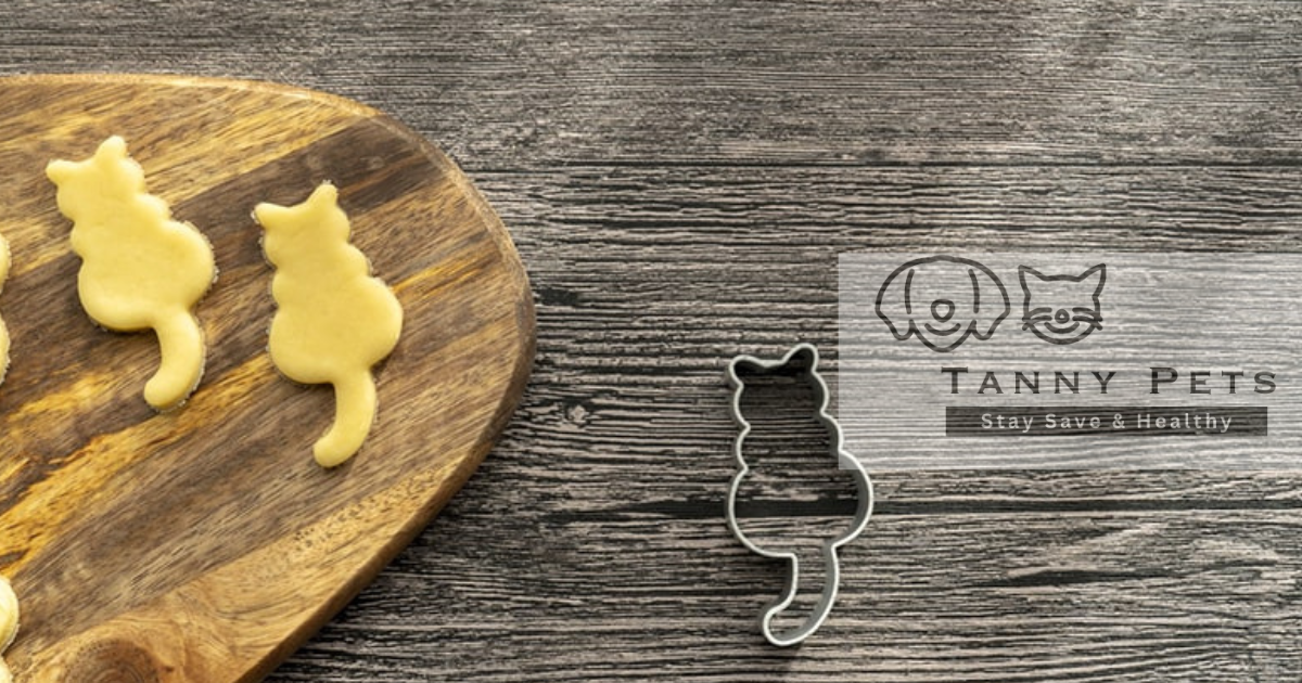 Homemade Cat Treats Recipes