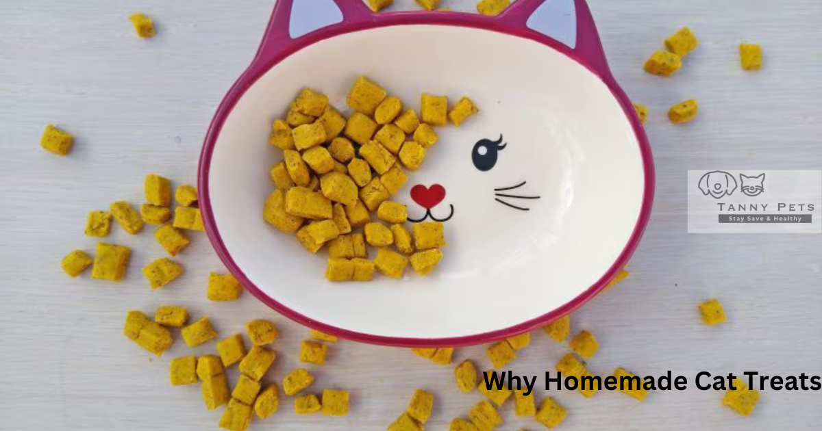 Homemade Cat Treats Recipes