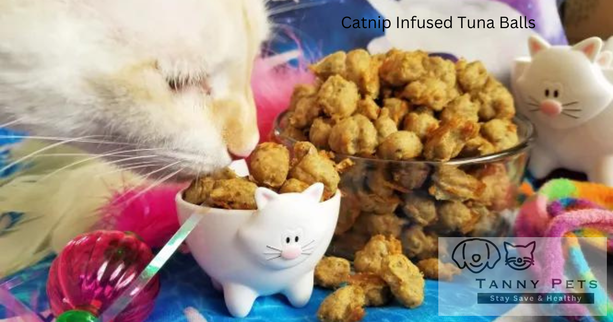 Homemade Cat Treats Recipes