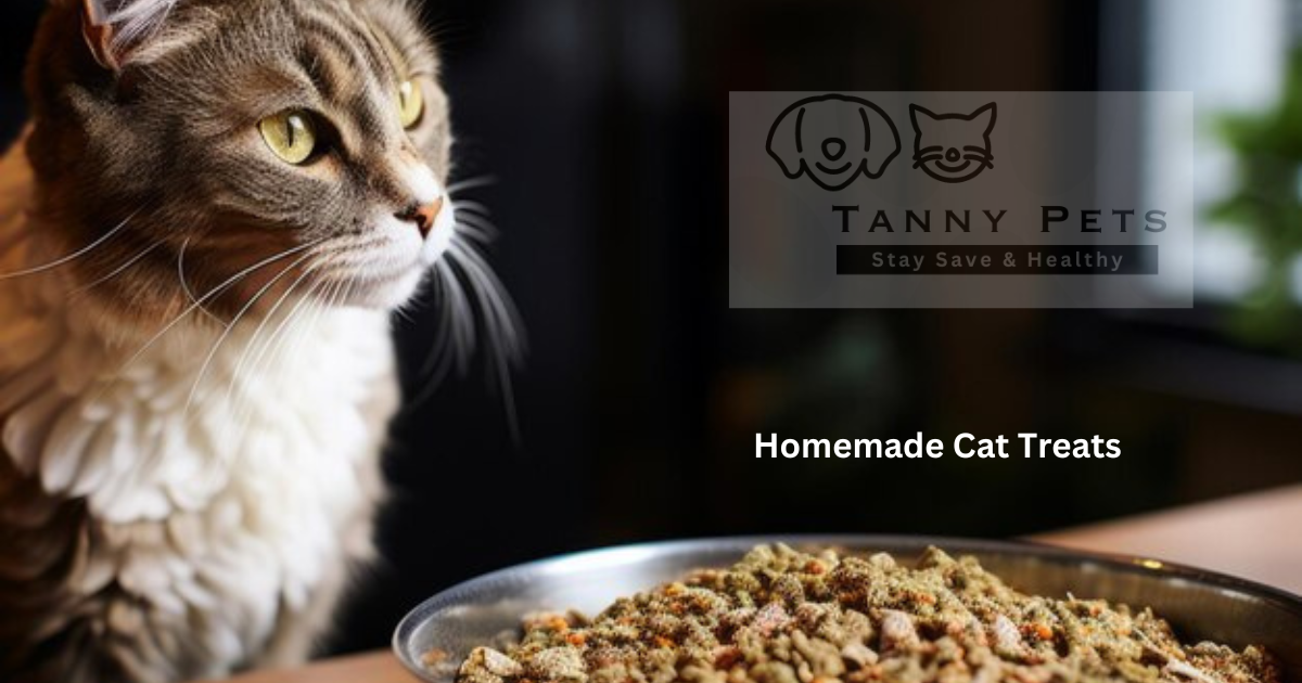 Homemade Cat Treats Recipes